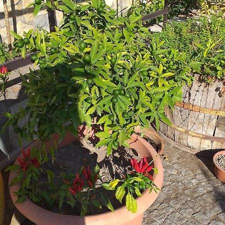 Appartamento House Ida Scafati Εξωτερικό φωτογραφία