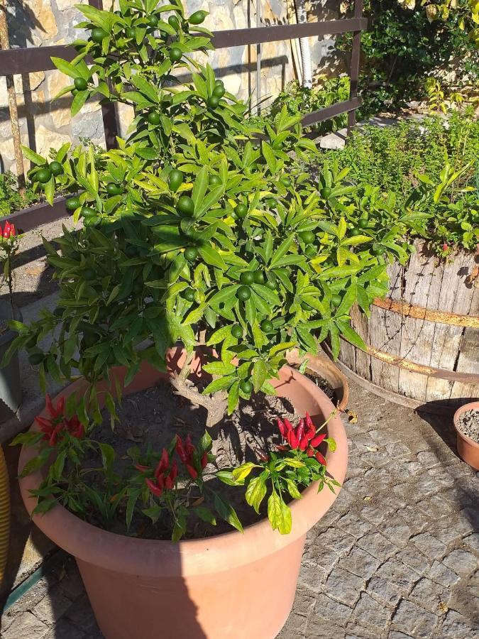Appartamento House Ida Scafati Εξωτερικό φωτογραφία